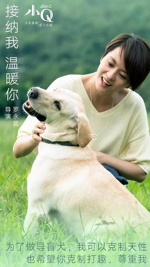 俄亥俄北方大学 Sociological degree